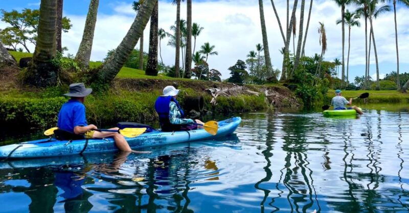 hilo-wailoa-river-to-king-kamehameha-guided-kayaking-tour