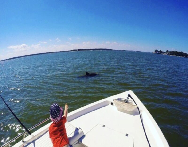 hilton-head-island-private-dolphin-watching-boat-tour