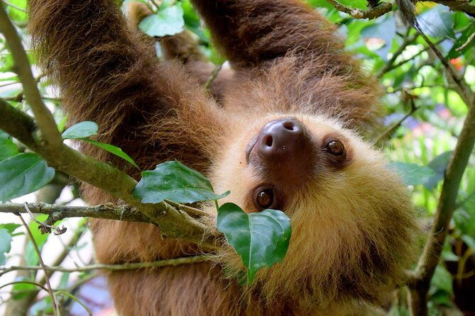 hire-costa-rica-driver-for-10-hour-solo-traveler