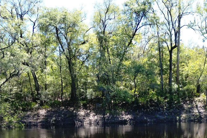 historic-mystery-walking-tour-in-florida