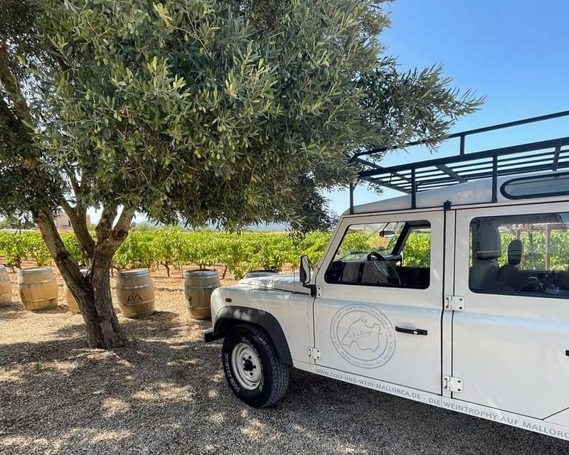 historical-bodega-tour-and-wine-tasting-in-consell
