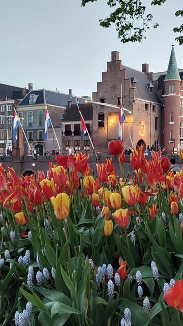 historical-tour-of-the-hague