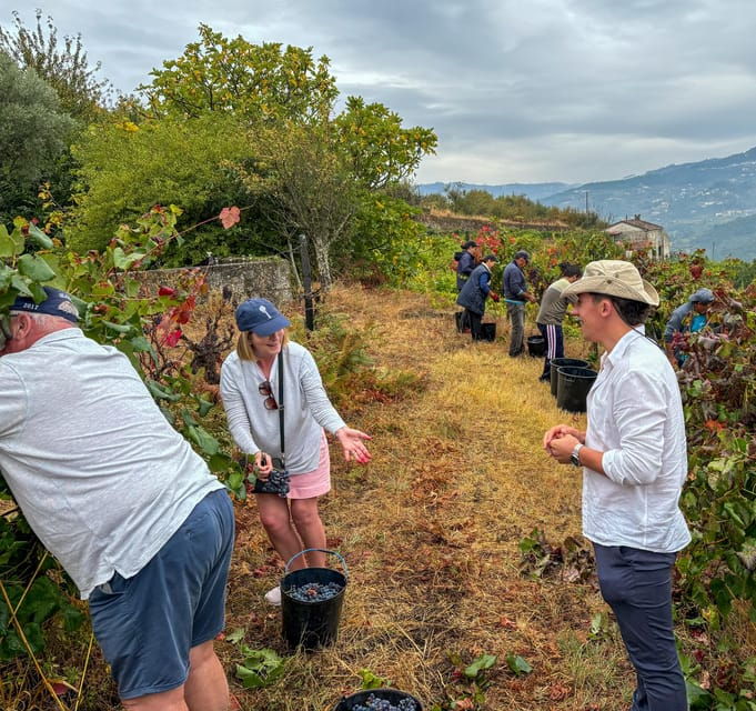 homemade-food-luxurious-farms-1-day-douro-valley