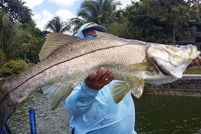 homosassa-inshore-fishing-charters