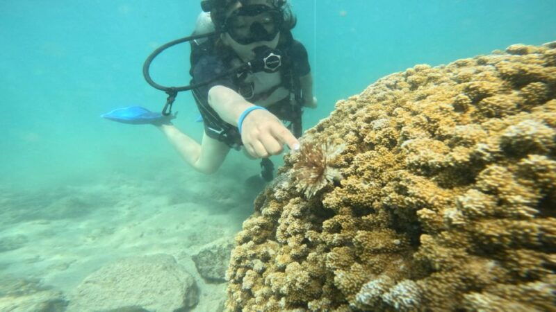 honolulu-beginner-scuba-diving-tour-with-free-videos