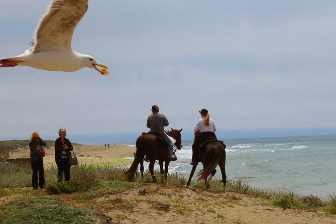 horseback-ride-on-the-beach-alcatraz-tour-in-san-francisco