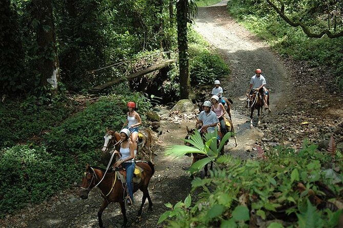horseback-riding-and-natural-swimming-pools-jaco-beach