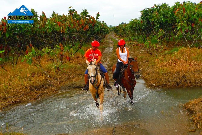 horseback-riding-and-shuar-community-near-guayaquil-private-trip