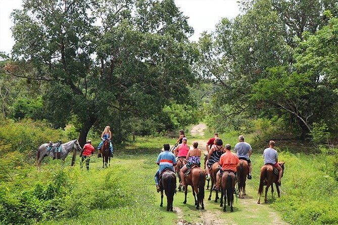 horseback-riding-beach-with-palapa-and-transfer