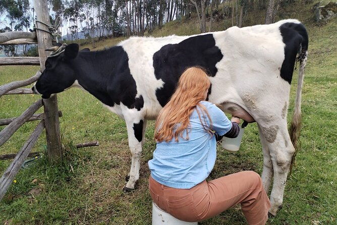 horseback-riding-private-tour-2