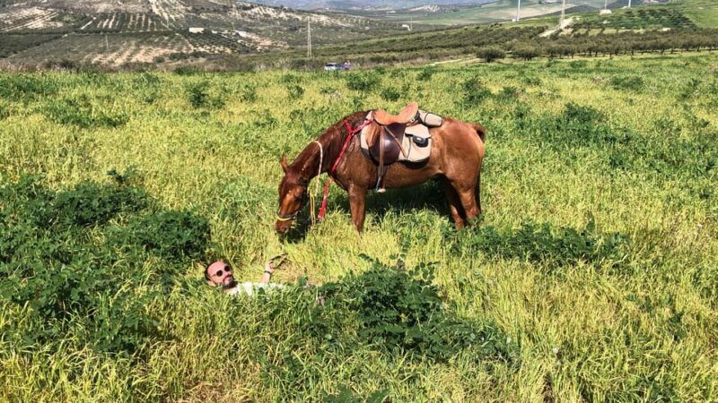 horseback-riding-through-the-olive-groves-of-sciacca