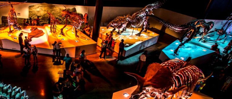 houston-1-day-or-3-day-museum-pass