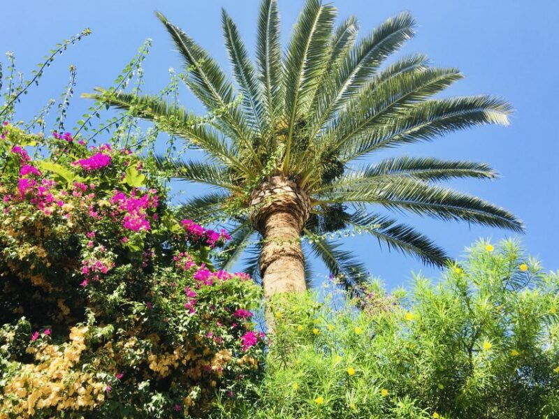 ibiza-old-town-guided-walking-tour
