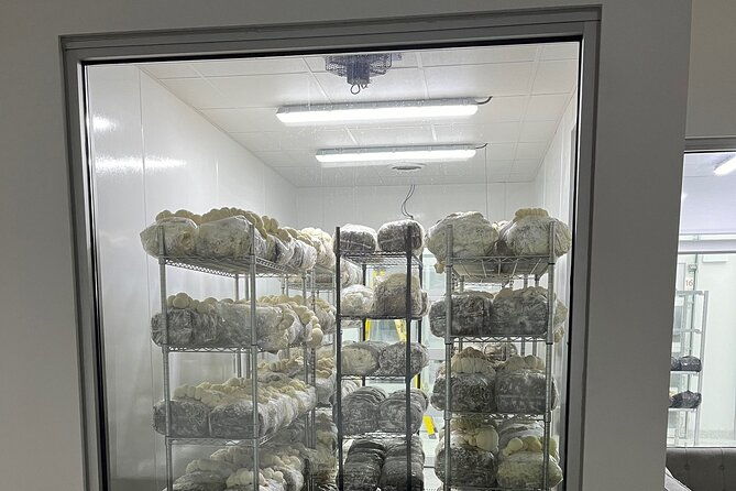 indoor-mushroom-farm-tour