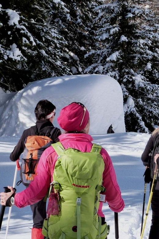 innsbruck-priv-guided-snowy-mountain-hike-snowshoes