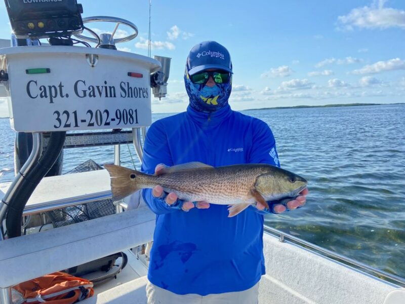 inshore-fishing-half-day