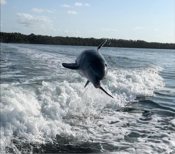 islamorada-multi-activity-private-boat-charter