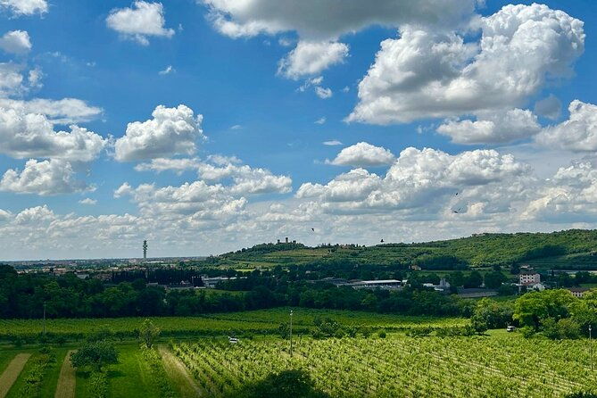 italian-cooking-lesson-in-the-hills-of-verona