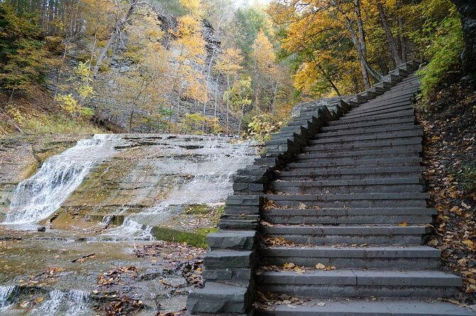 ithaca-family-adventure-fun-discovery-walk