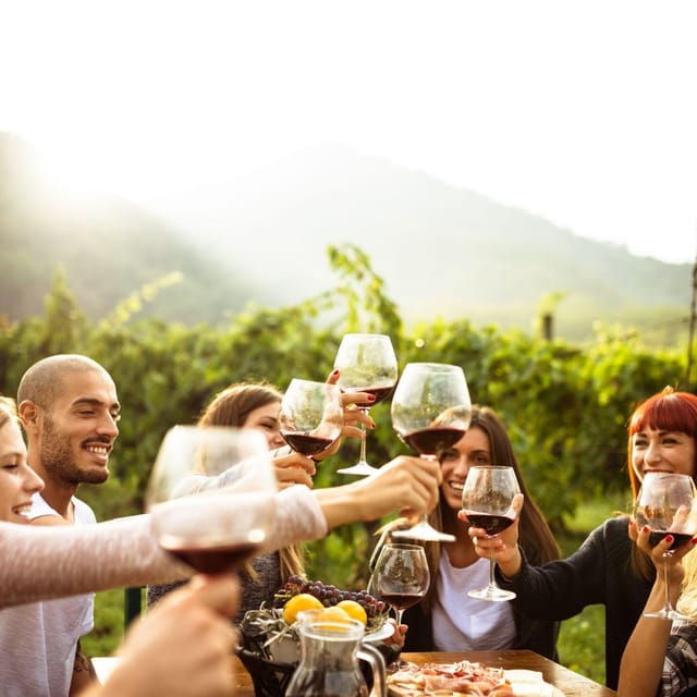 itria-valley-wine-and-olive-oil-tour-and-tasting