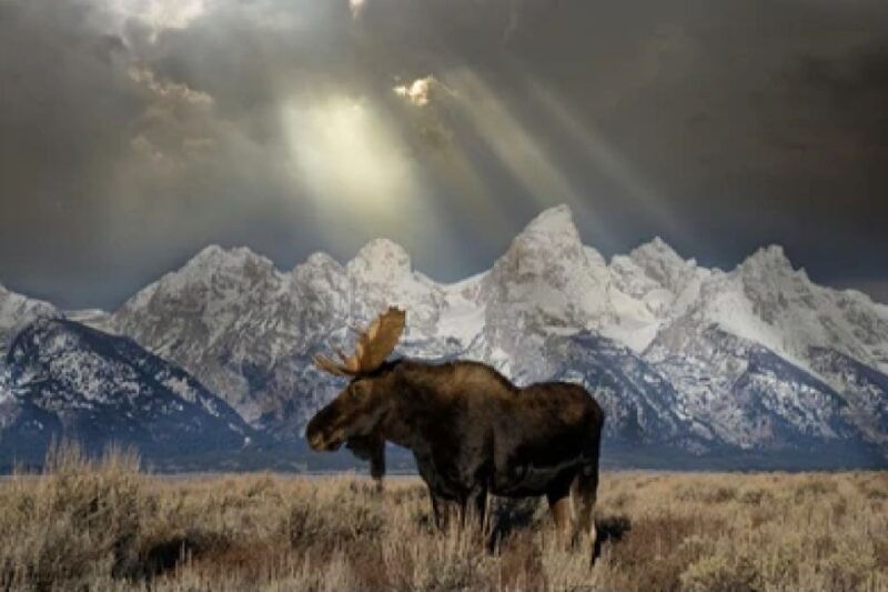 jackson-4-day-grand-teton-yellowstone-winter-tour