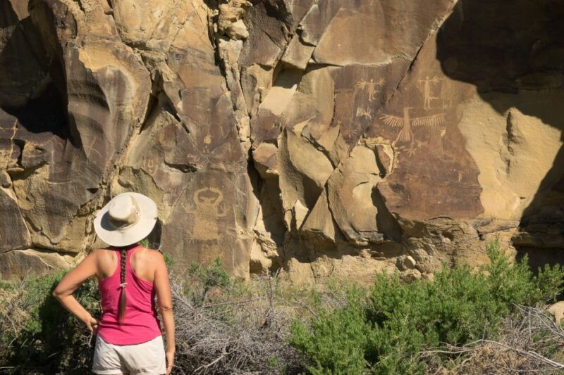 jackson-grand-teton-bighorn-sheep-and-petroglyphs-tour