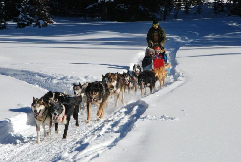 jackson-hole-dogsledding-tour-with-hot-chocolate