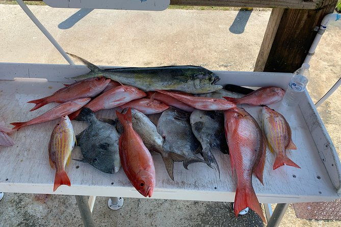 jacksonville-fishing-charter-23