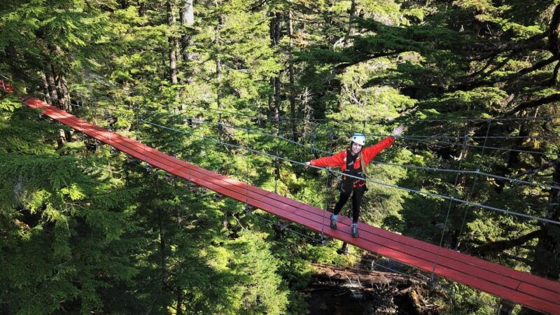 juneau-alpine-zipline-adventure