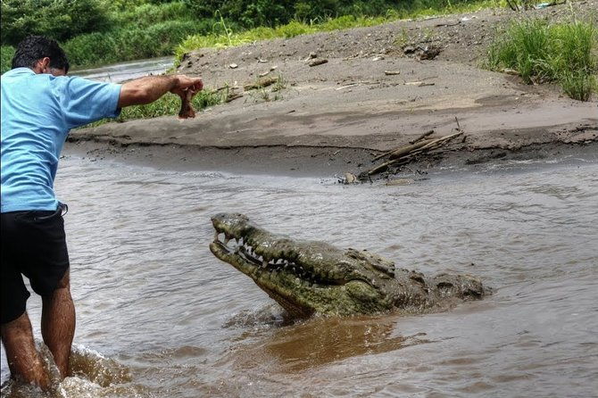 jungle-crocodile-safari-jaco-beach-from-san-jose