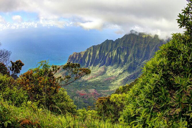 kauai-island-private-guided-tour-waimea-canyon-from-poipu-koloa