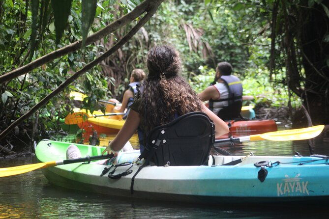 kayak-tour-in-tortuguero-canals-with-tourist-guide