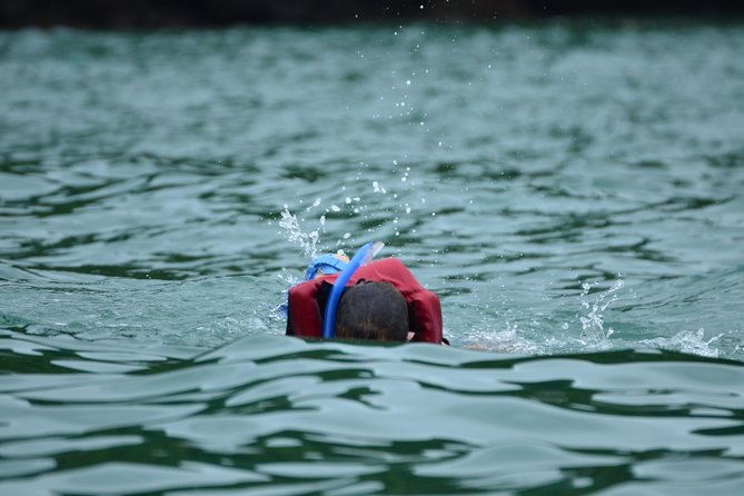 kayaking-snorkeling-tour-from-manuel-antonio