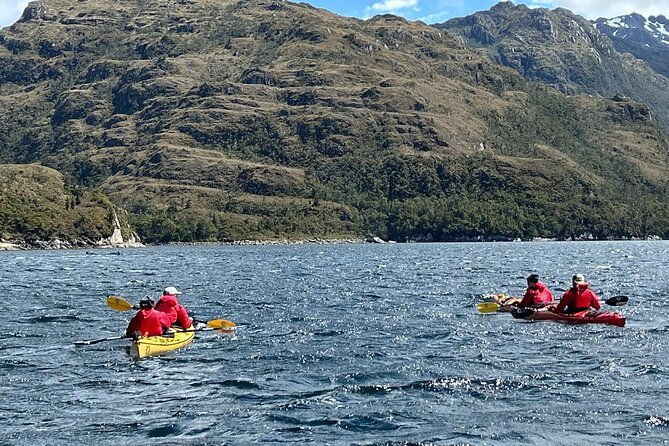 kayaking-with-whales-and-wildlife-watching-from-punta-arenas