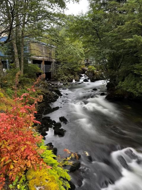 ketchikan-photo-safari