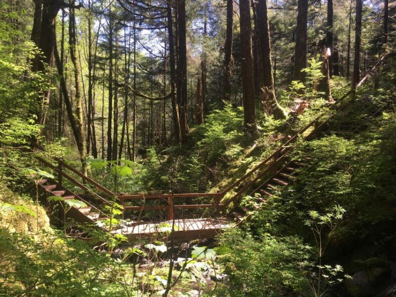 ketchikan-tongass-forest-alaska-bigfoot-atv-ride-and-hike