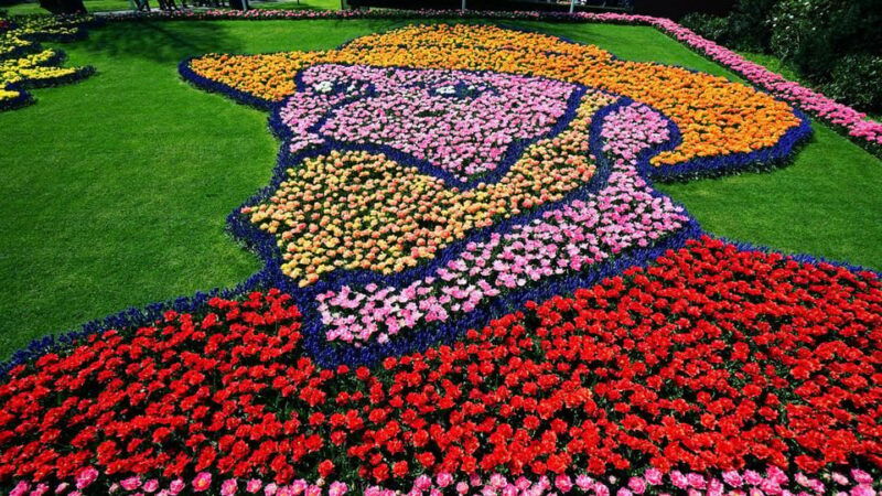 keukenhof-tulip-royalty-tour-with-exclusive-private-driver