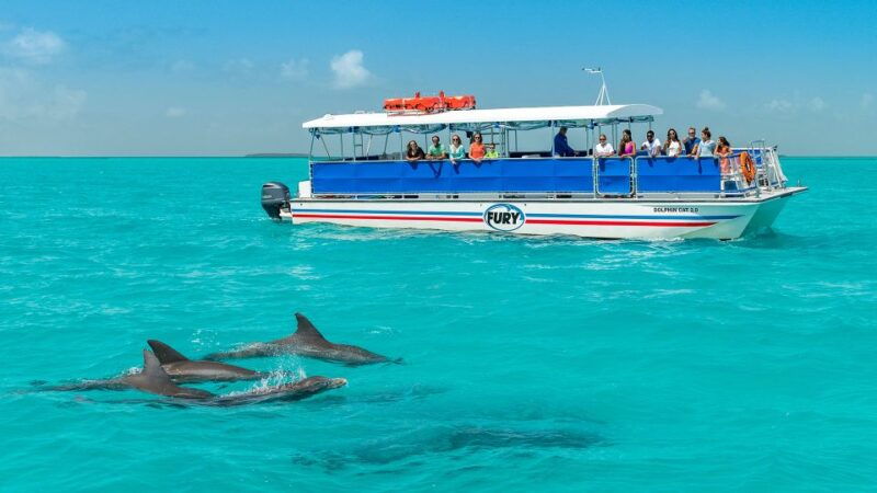 key-west-dolphin-watching-and-snorkeling-eco-cruise-tour