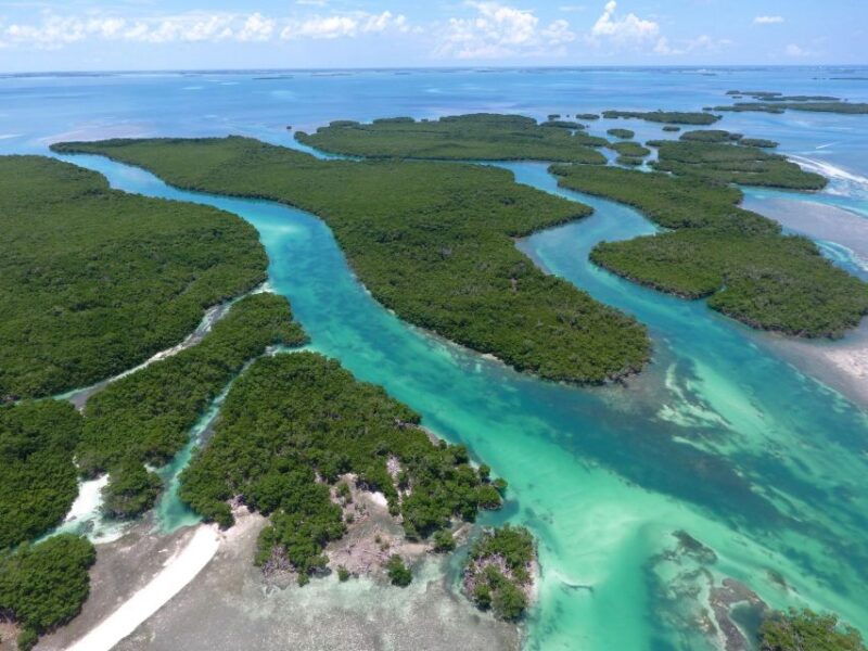 key-west-eco-safari-sandbar-tour-with-snorkeling