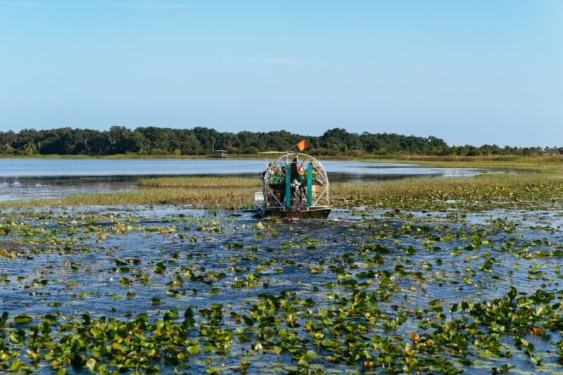 kissimmee-everglades-airboat-adventure-tour