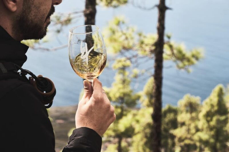 la-palma-bodegas-teneguia-winery-tour-with-wine-tasting