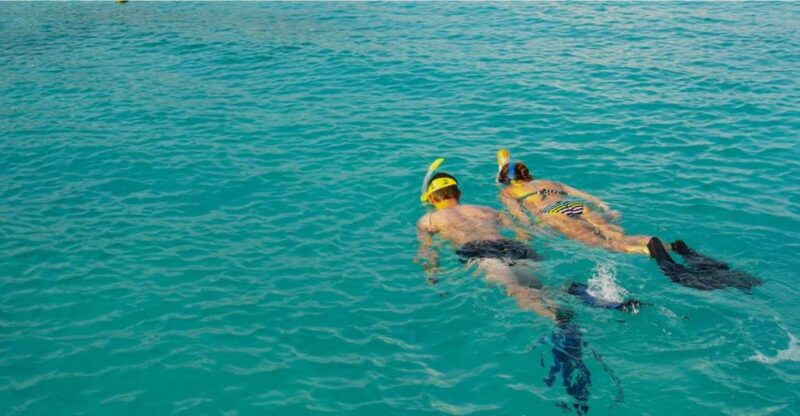 la-palma-snorkeling-tour-in-los-cancajos