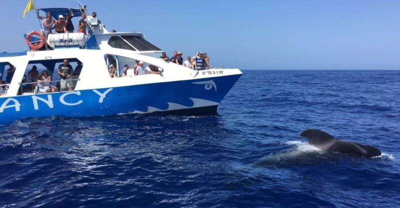 la-palma-wildlife-viewing-and-cumbre-vieja-boat-tour