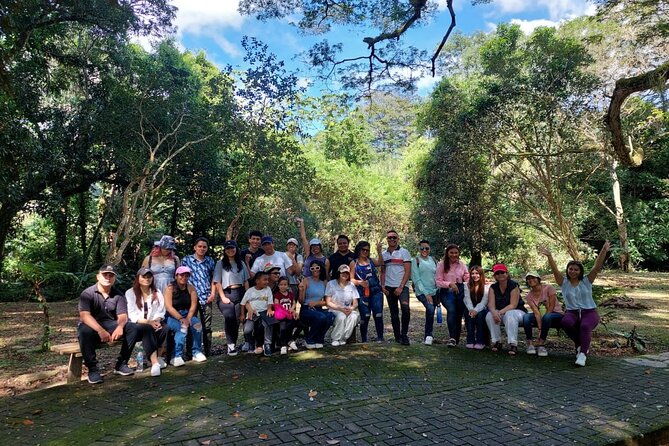 lancetilla-botanical-garden-from-san-pedro-sula