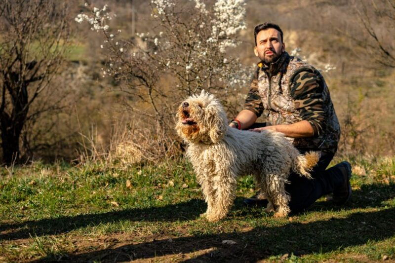 langhe-sunset-truffle-hunting-with-tasting-and-wine
