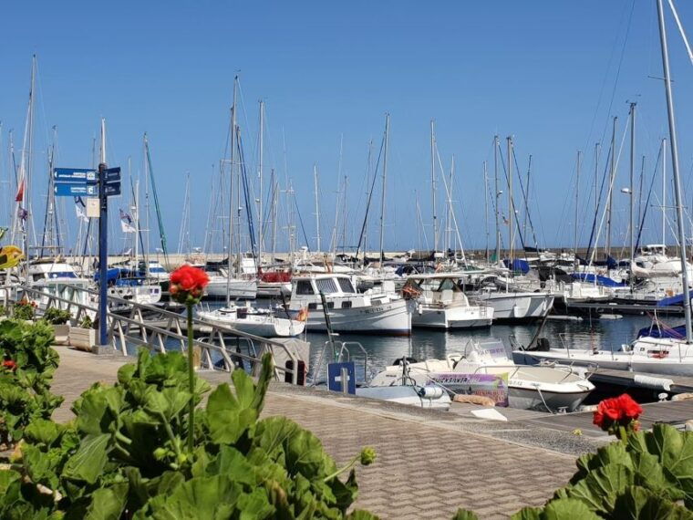lanzarote-sea-safari-experience
