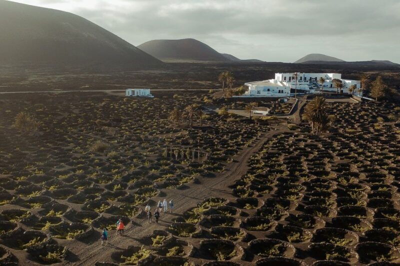 lanzarote-vineyard-tour-with-wine-and-chocolate-tasting