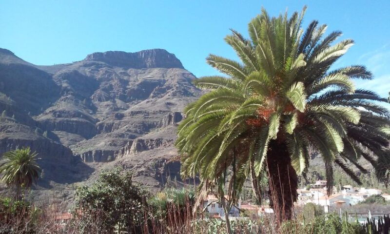 las-palmas-8-hour-gran-canaria-island-highlights-tour