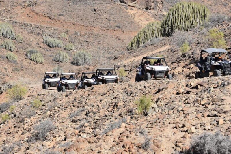 las-palmas-gran-canaria-guided-buggy-tour