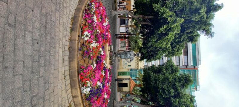 las-palmas-private-city-highlights-northern-villages-tour